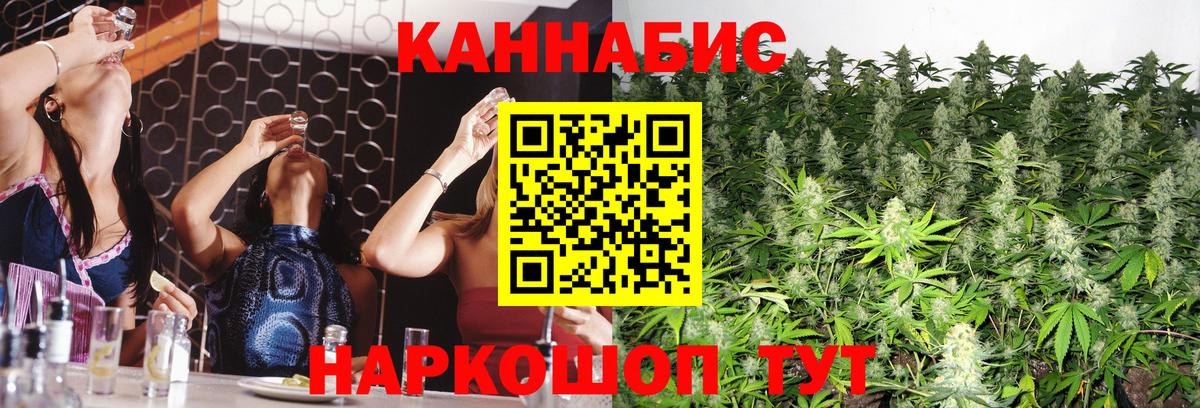 Туапсе  Бошки Шишки семена  Бошки марихуана тримм  Вход с VPN  Бошки Шишки OG Kush 